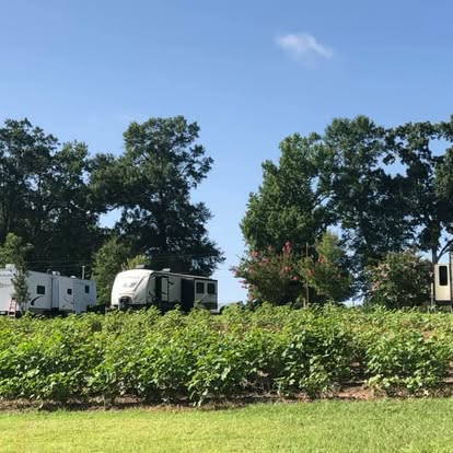 RVs parked near open fields and trees